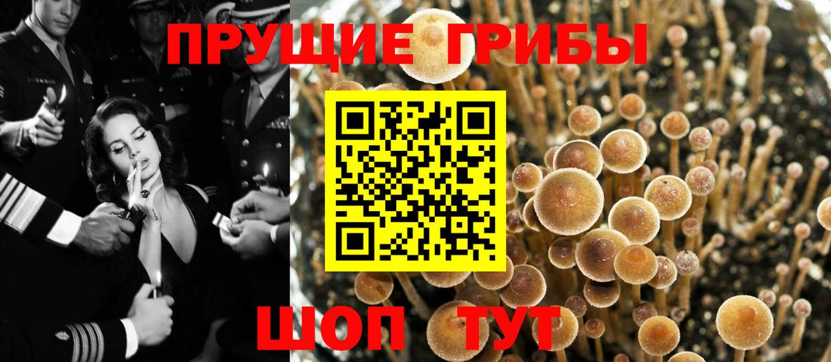 Галлюциногенные грибы ЛСД  закладки  Советск  Галлюциногенные грибы прущие грибы  Вход с VPN 